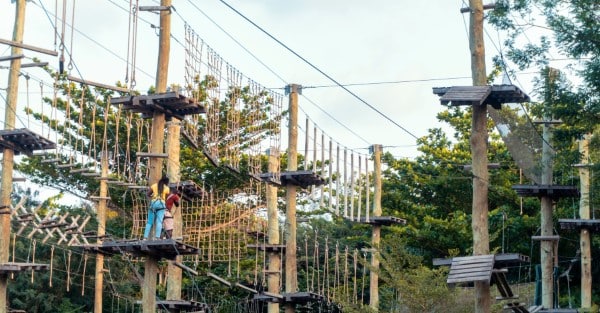 Kletterpark in einem Wald