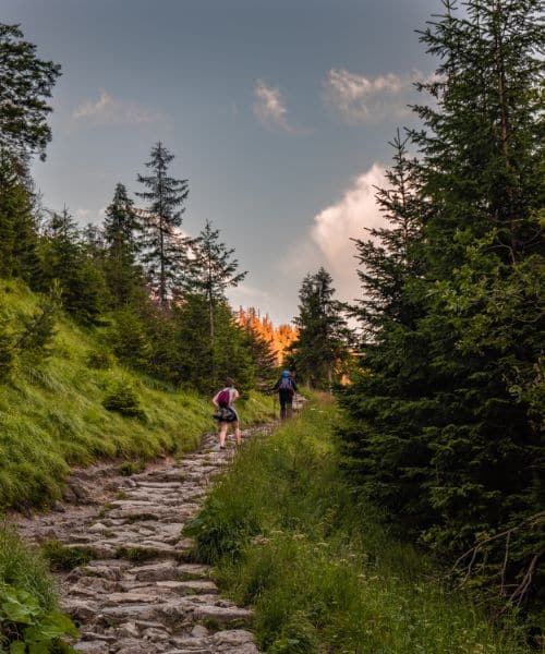 Wanderung auf einen Berg